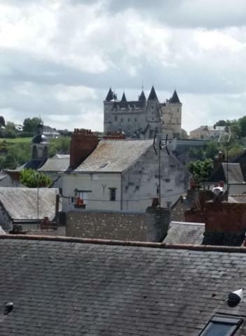 Appt 2Eme Etage Sur L'Ile De Saumur Exterior photo